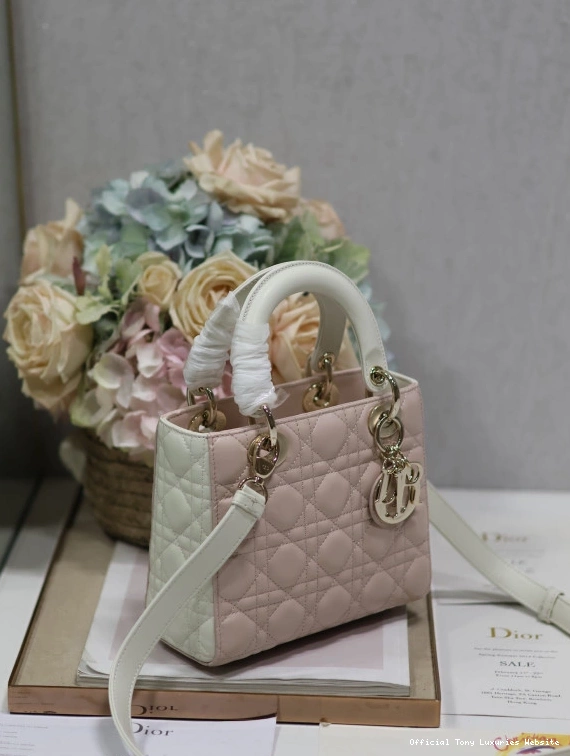 Tony Luxuries LADY DI0R-20CM 0717